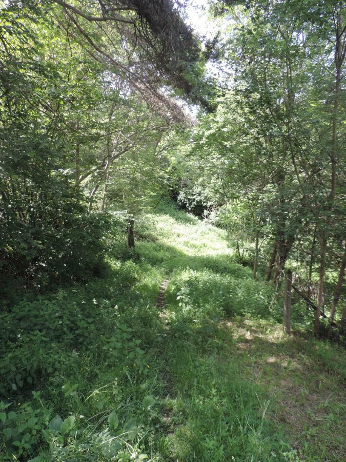 Se Reconnecter A La Nature Au Gite 3 Etoiles De Montager A Saint Andre De Chalencon Exterior photo
